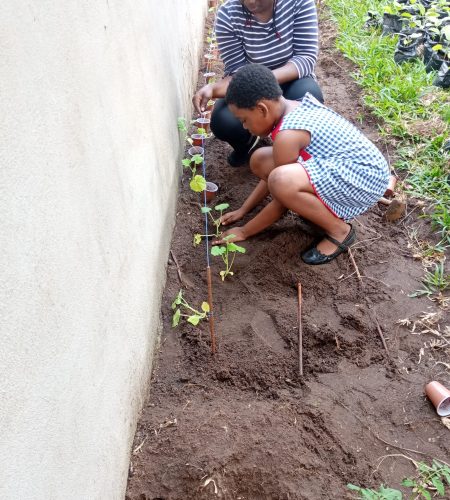 eco-farmers-image (7)