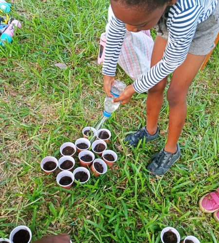 eco-farmers-image (8)